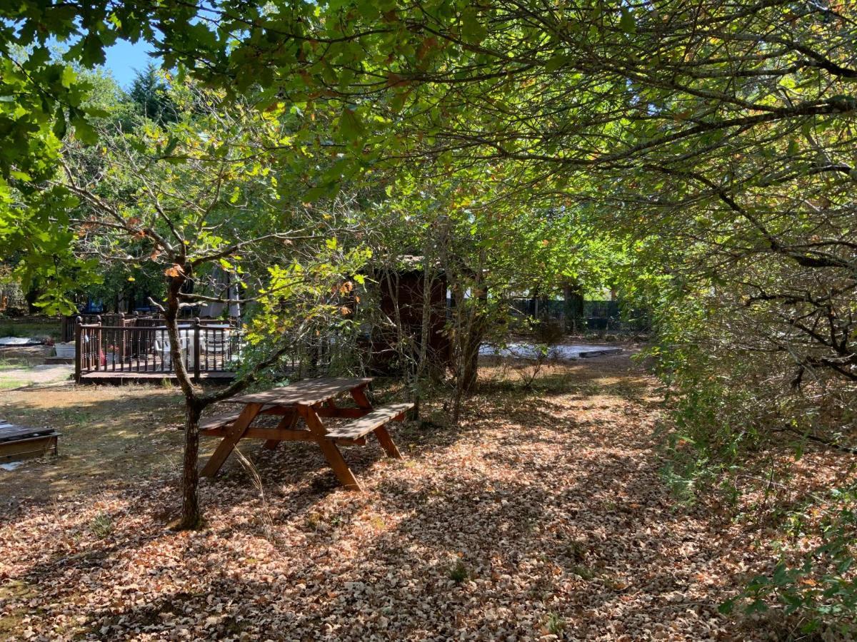 Domaine De Labelo Bed & Breakfast Commensacq ภายนอก รูปภาพ