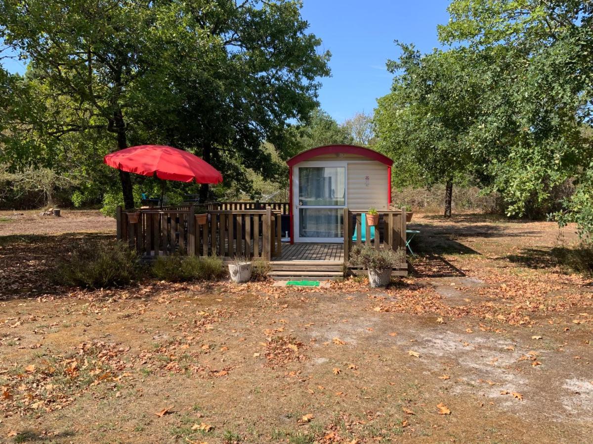 Domaine De Labelo Bed & Breakfast Commensacq ภายนอก รูปภาพ
