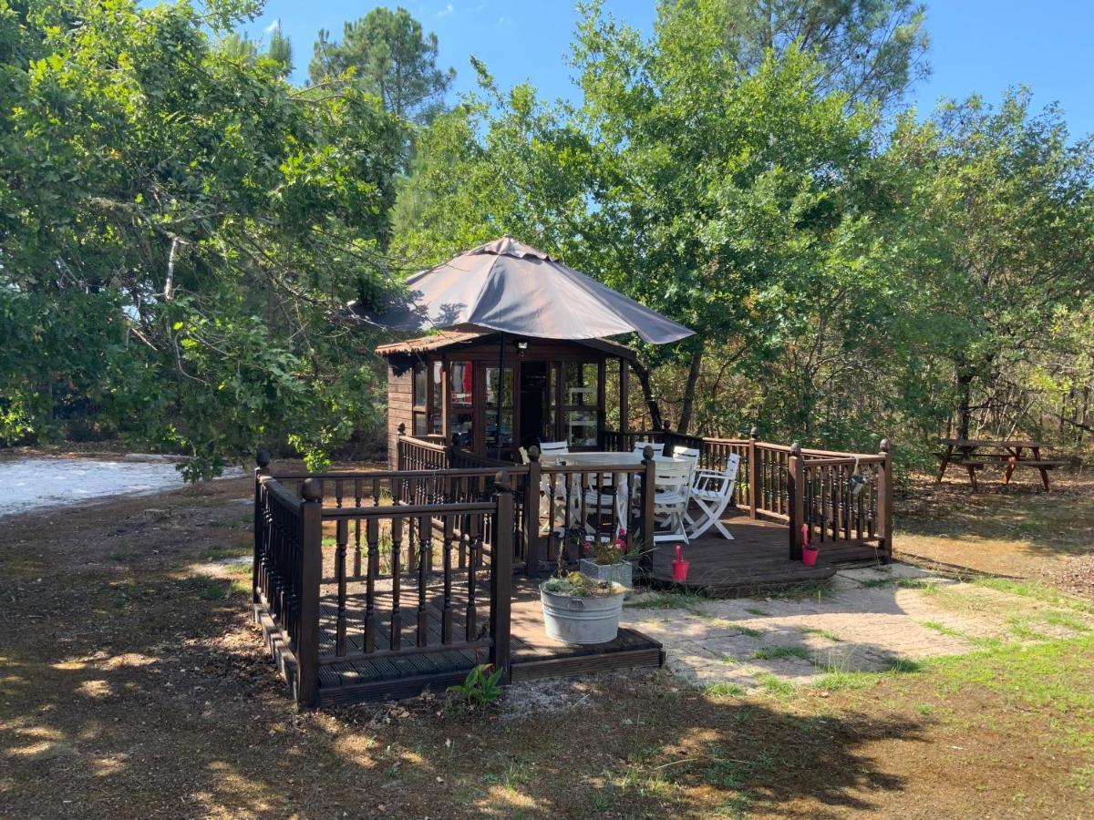 Domaine De Labelo Bed & Breakfast Commensacq ภายนอก รูปภาพ
