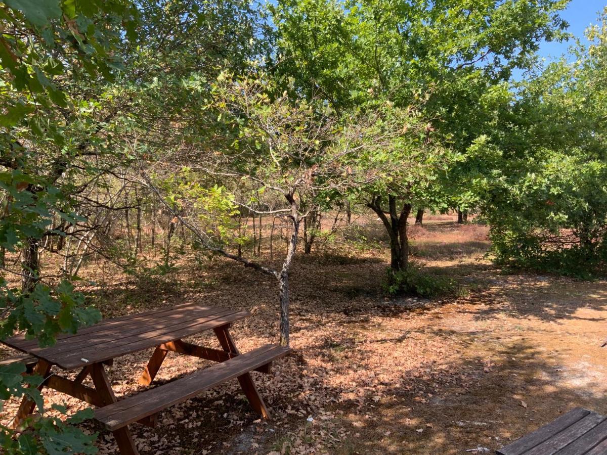Domaine De Labelo Bed & Breakfast Commensacq ภายนอก รูปภาพ